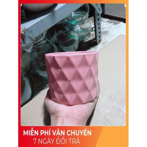 Chậu Trồng Cây