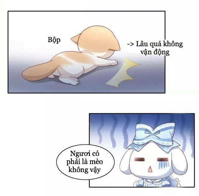 dưới móng vuốt mèo chapter 15 30