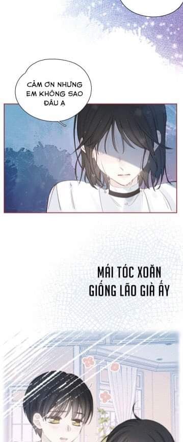 nỗi buồn của hoa cẩm tú cầu chapter 39 3