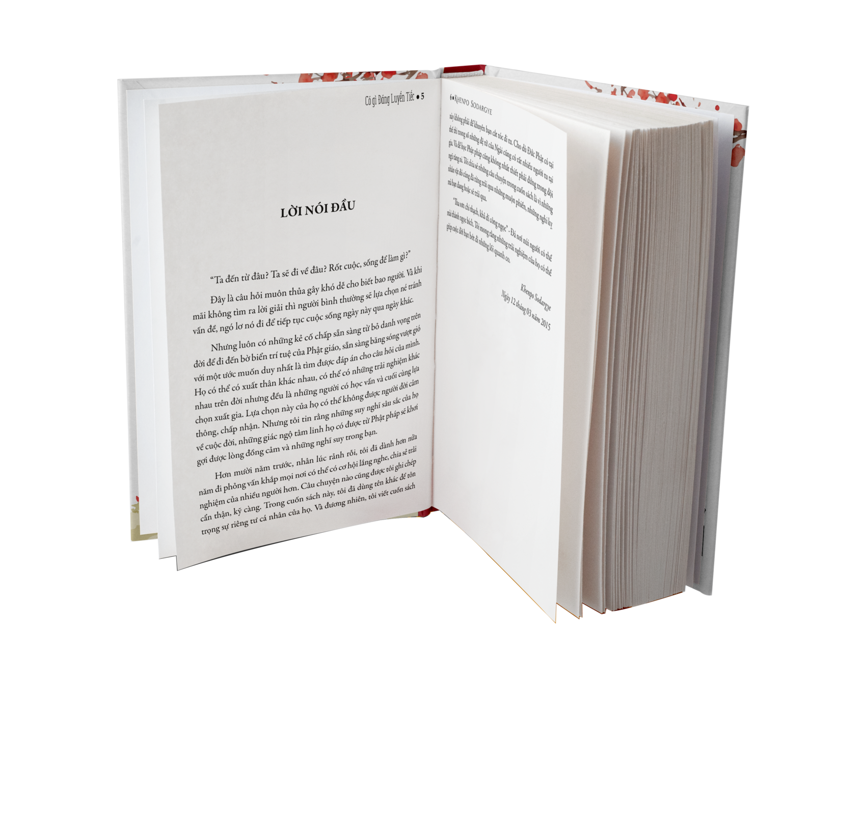 BỘ SÁCH "TIẾC" - Sách Tôn Giáo, Nghệ Thuật Và Văn Hóa, Tác Giả KHENPO SODARGYE - Á Châu Books, bìa mềm, in màu