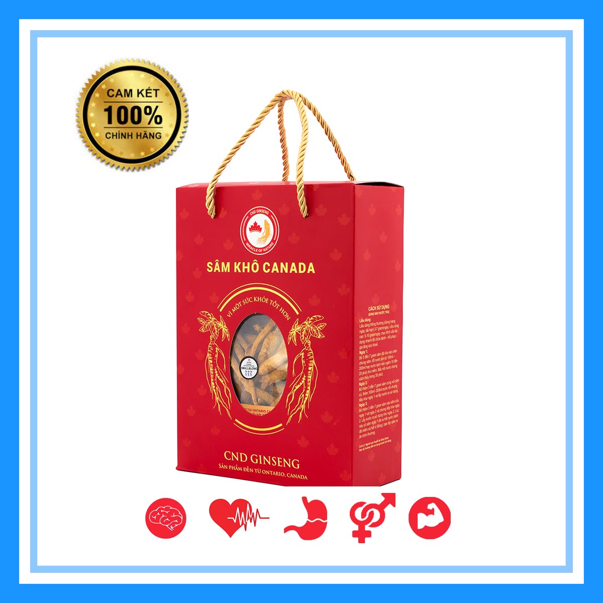 Nhân Sâm Canada - Sâm Khô Nguyên Củ - Nhỏ & Dài