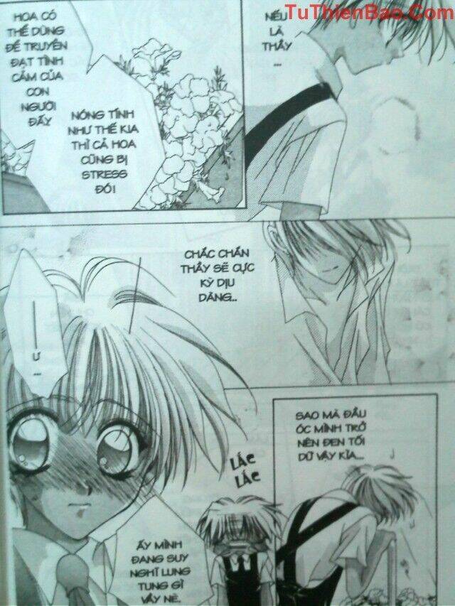 nguyện ước dưới ánh sao chapter 3 11