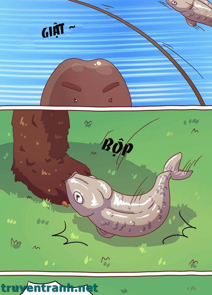 cây nấm kì khả chapter 14 5