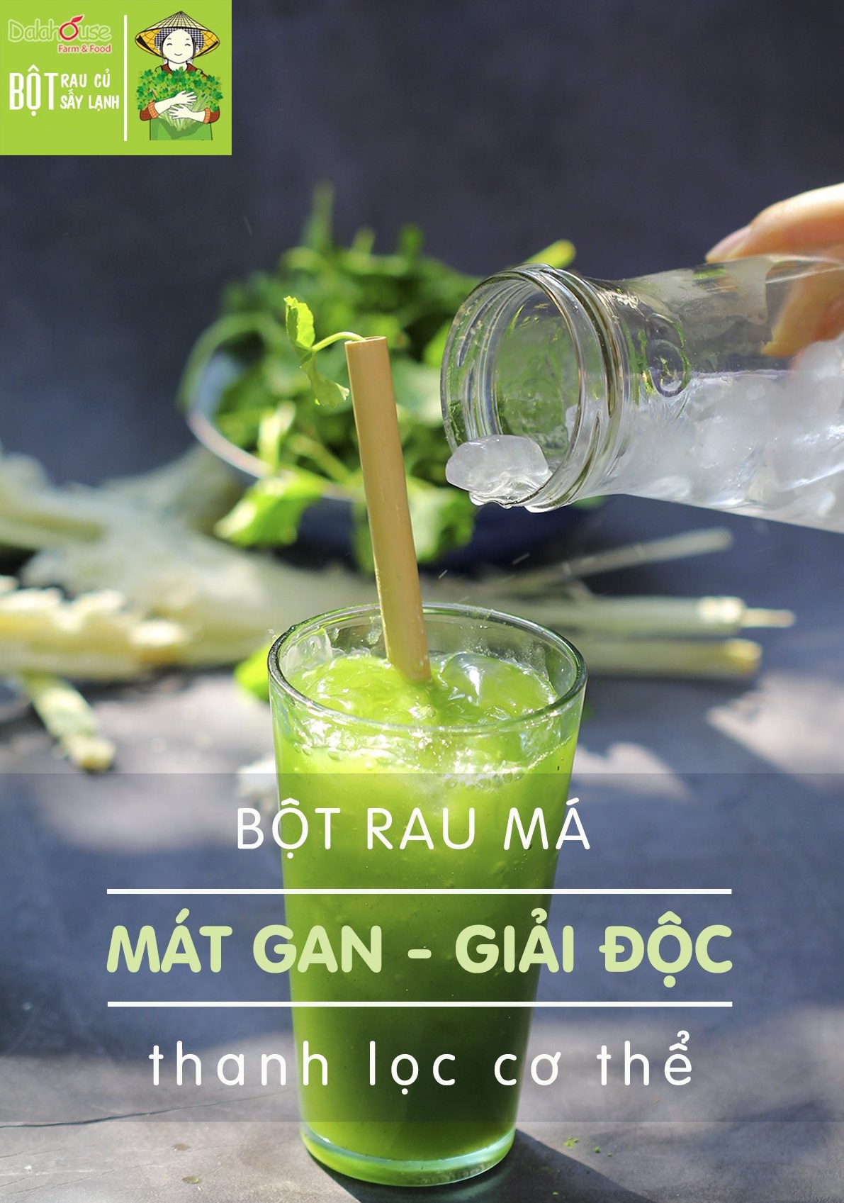 Bột Rau Má Dalahouse - (Hộp 20 Gói x 3gr) – 1 Gói Tiện Lợi Cho 1 Lần Uống – Giúp Giảm Huyết Áp, Giải Độc Mát Gan Hiệu Quả