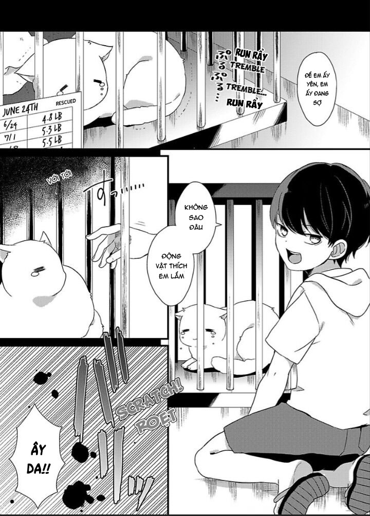 ngọt ngào đến nguy hiểm chapter 2.1 3