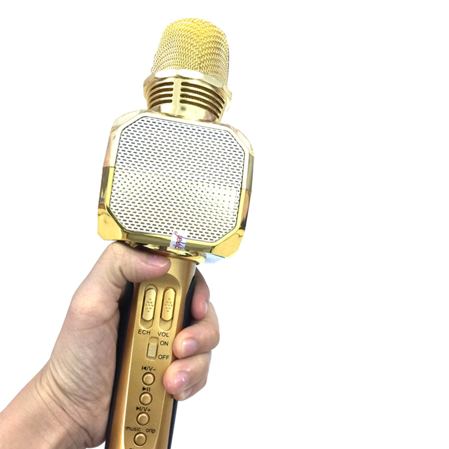 Micro Karaoke Kèm Loa Bluetooth SD10 Sotate - Hàng Nhập Khẩu