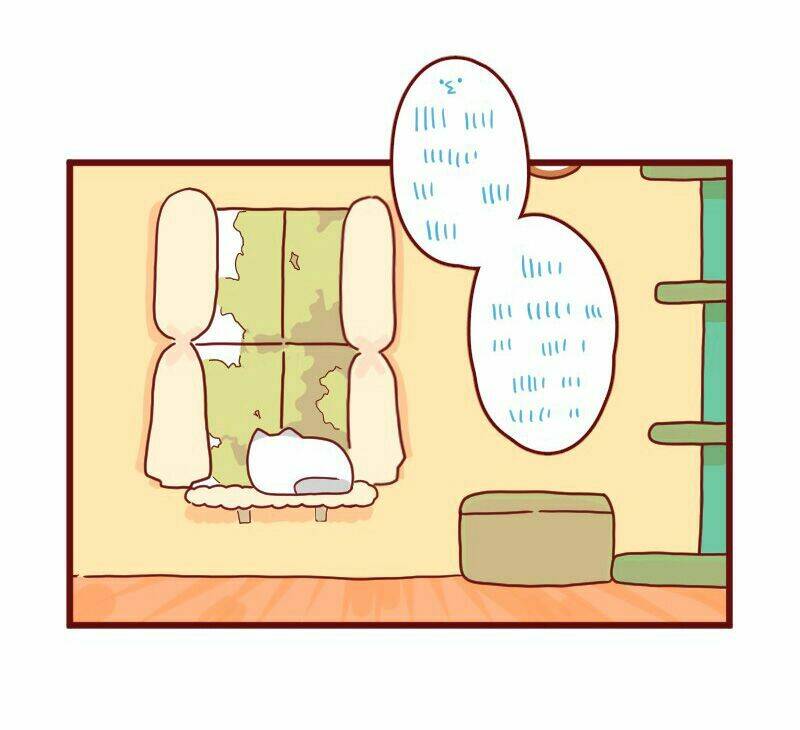 saphie: chú mèo một mắt chapter 9 1