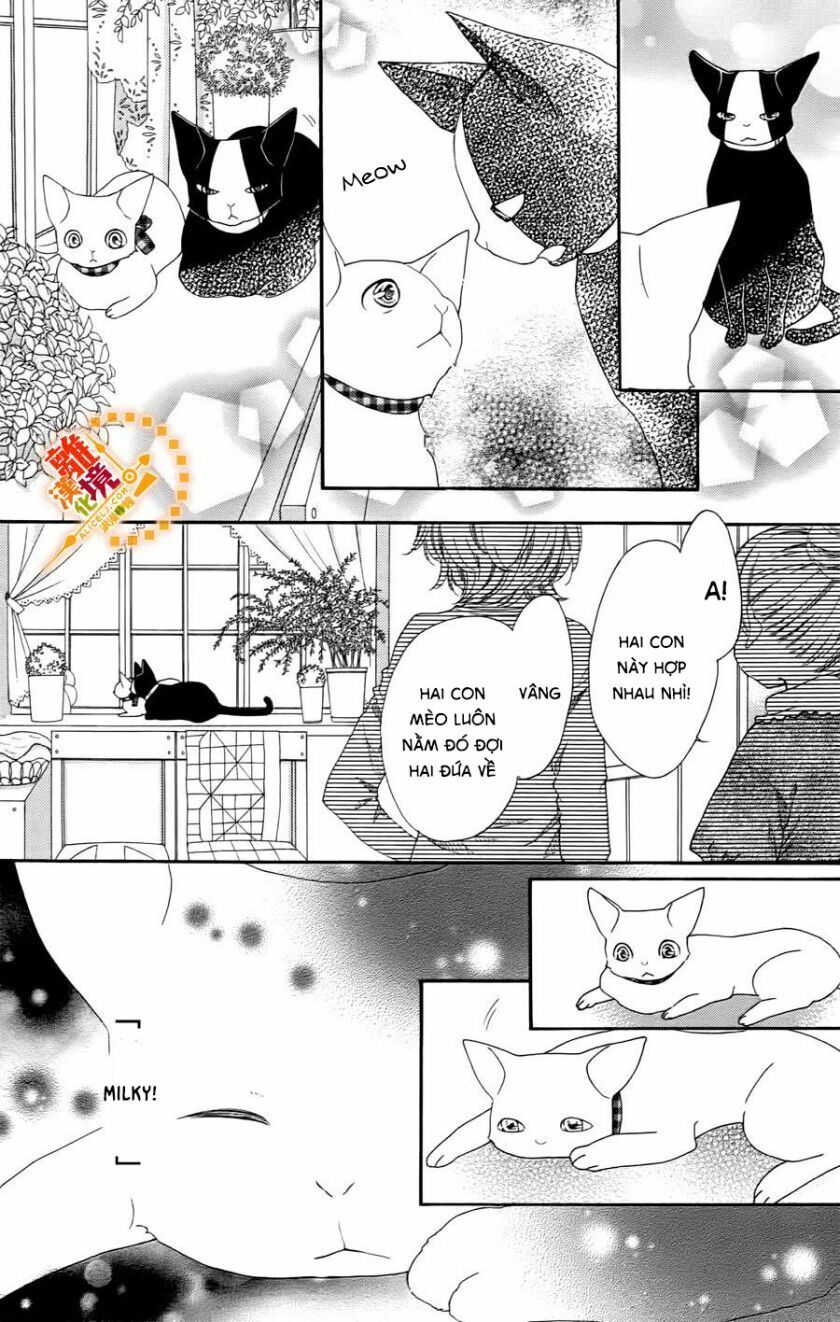 the romantica clock chapter 41.4 13