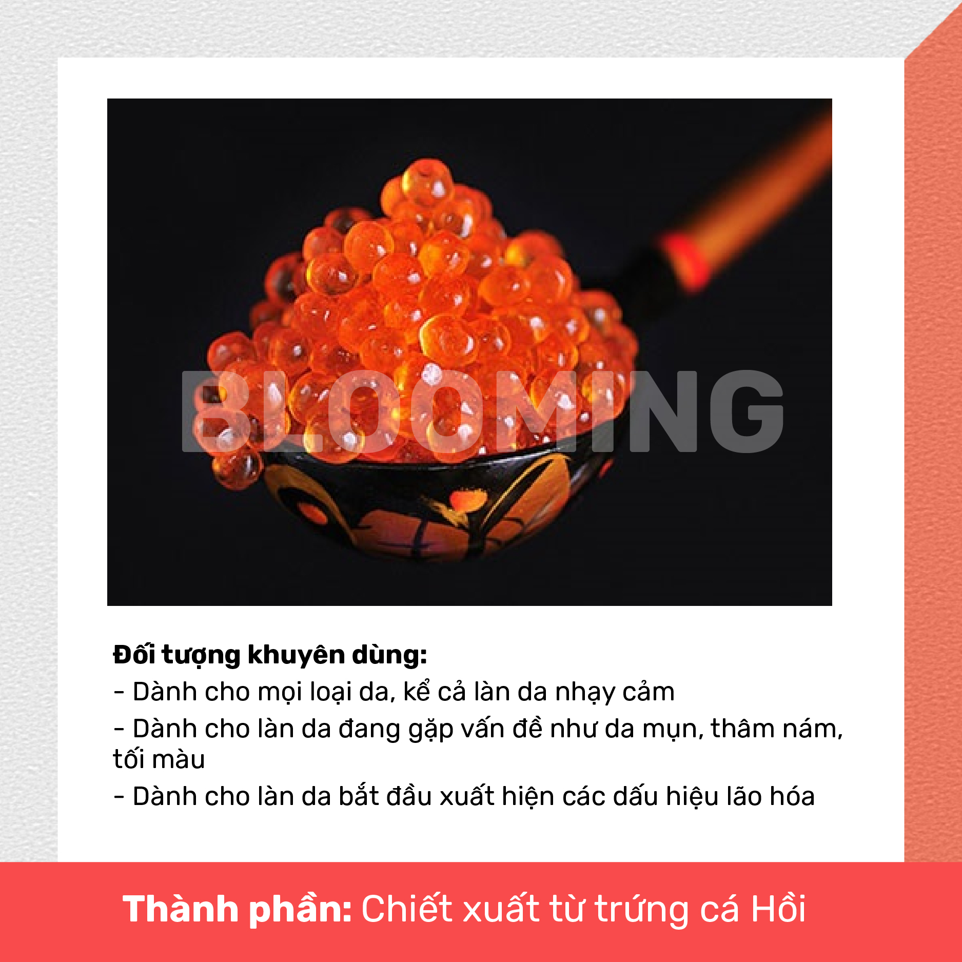 Tế Bào Gốc Trứng Cá Hồi Suiskin Salmon DN Ampoule Phục Hồi Dưỡng Da Hỗ Trợ Sẹo, Thâm