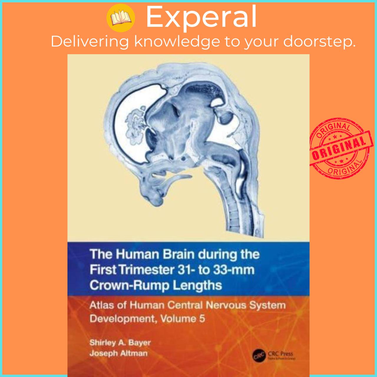 Sách - The Human Brain during the First Trimester 31- to 33-mm Crown-Rump Le by Shirley A. Bayer (UK edition, paperback)