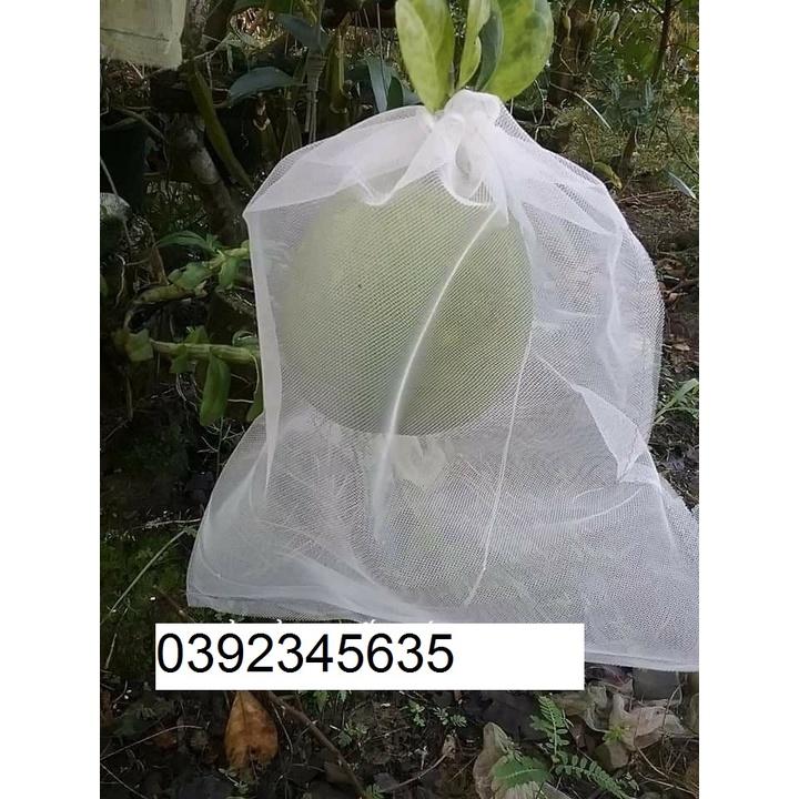 TÚI BỌC BƯỞI,DƯA LƯỚI,CHÙM NHO CHẮT LIỆU LƯỚI DÀY TỐT KÍCH THƯỚC 30*35cm