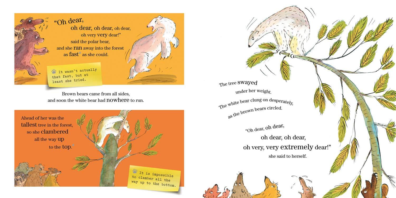 Sách ngoại văn: Boogie Bear