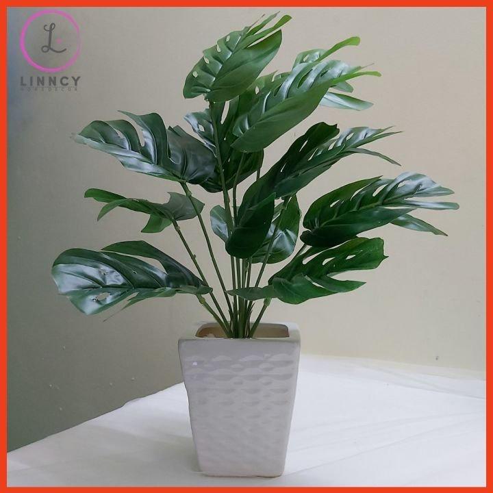 Chậu cây lá rùa nhân tạo cao 45-50cm trang trí bàn, kệ tủ, giá sách, làm đạo cụ chụp ảnh