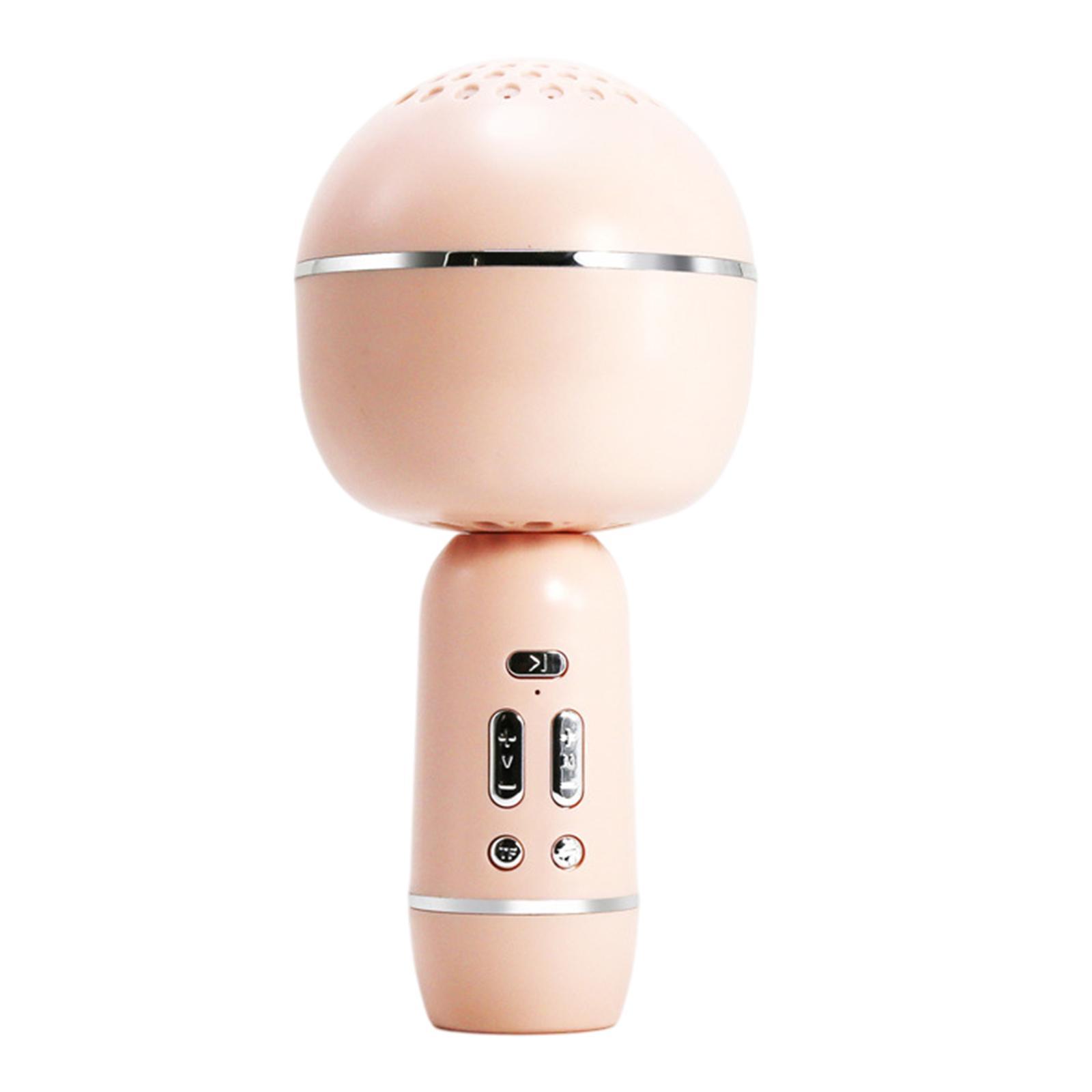 Portable Wireless Microphone Karaoke Speaker Karaoke Machine
