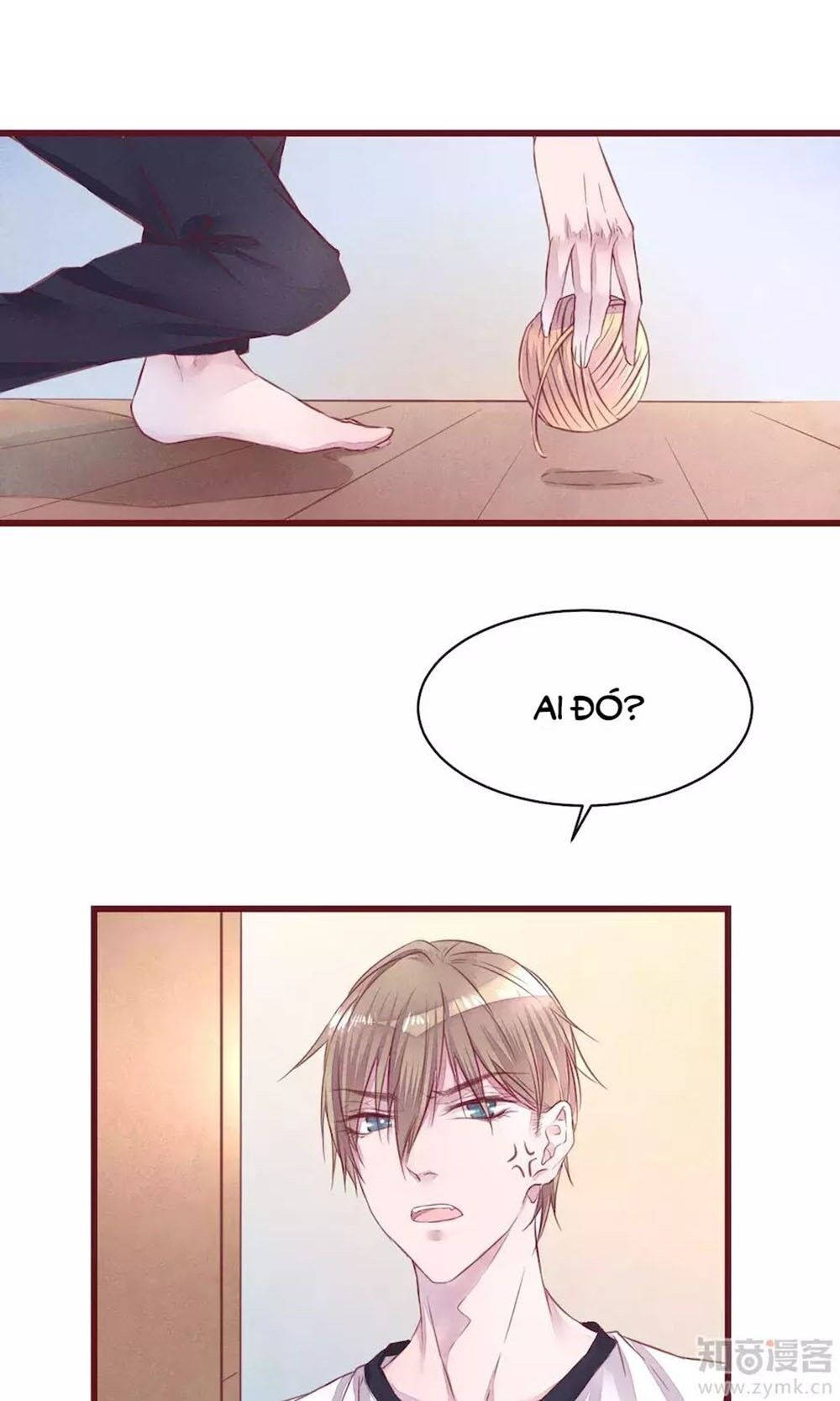 đào tạo nuôi dưỡng bạn trai mèo chapter 10 26