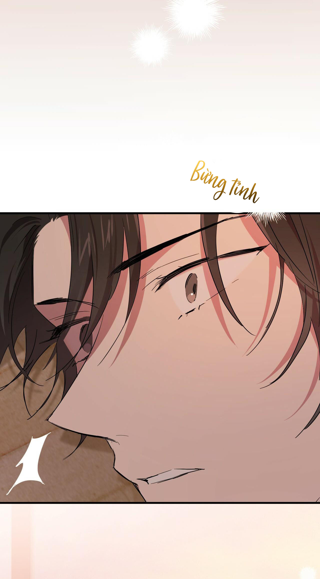 những chú thỏ của hapypy chapter 13 61