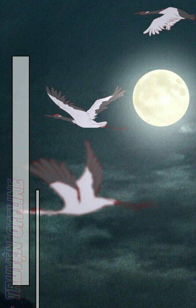 hắc hóa nam chính trực tuyến nuôi thỏ chapter 45 17