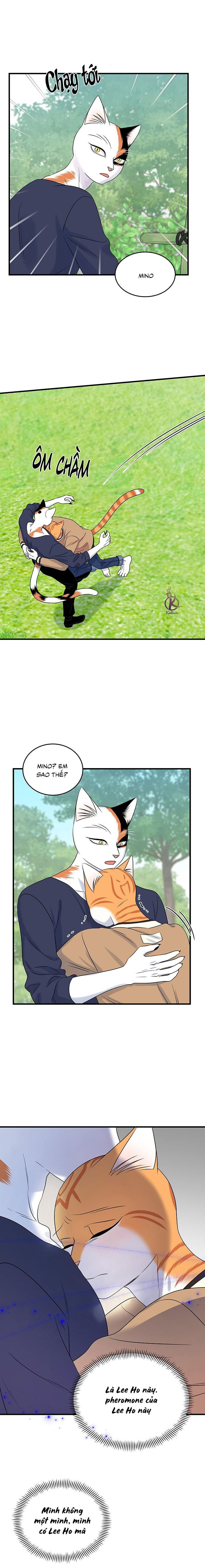 dự án xanh chapter 51 13