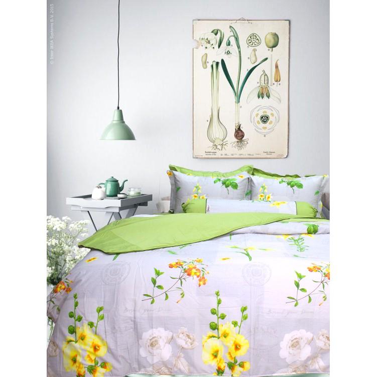 Bộ chăn ga gối drap giường 2 màu xanh tím cotton satin Ai Cập Julia 547