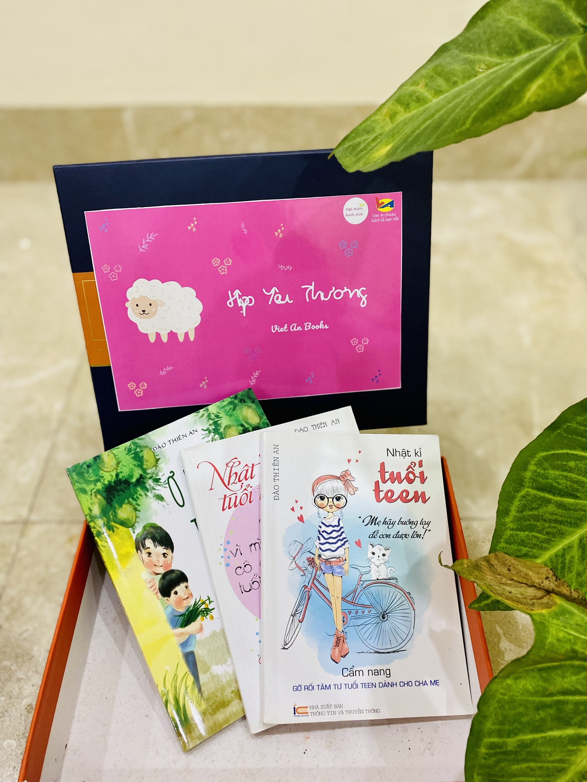 HỘP YÊU THƯƠNG 9 -15 TUỔI