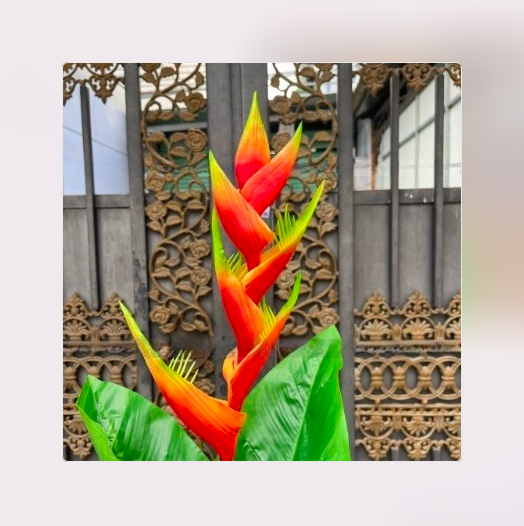 Cây hoa chuối rừng 140cm, Cây giả decor trang trí nhà cửa nội thất phòng khách phòng ngủ