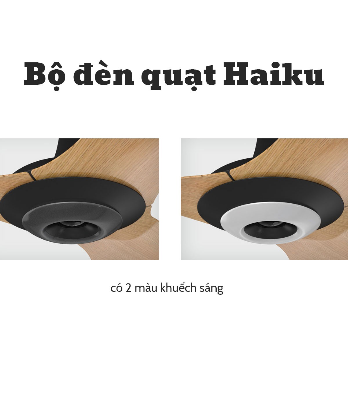 Bộ Đèn LED Cho Quạt Trần Thông Minh Haiku H - 16 Cấp Độ Sáng - Điều Chỉnh Độ Sáng Dạng Dimmable - Hàng Chính Hãng