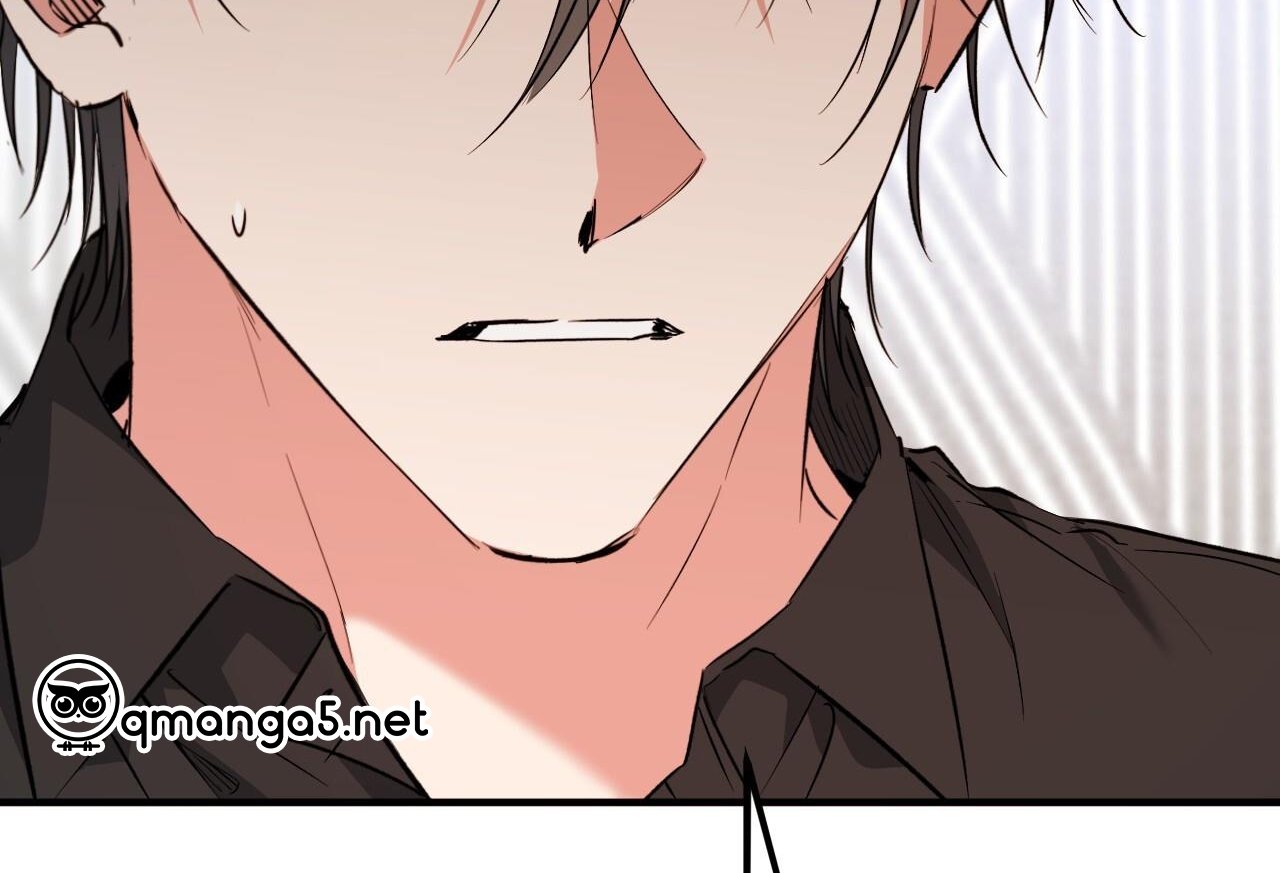 những chú thỏ của hapypy chapter 61 88