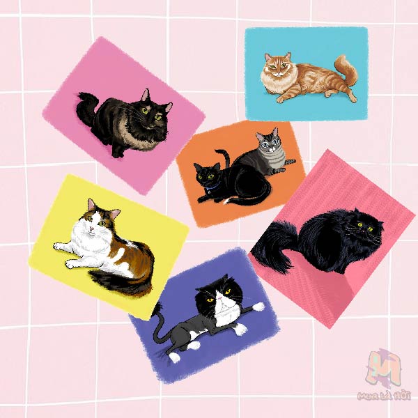 Miếng dán Stickers In Hình Mèo