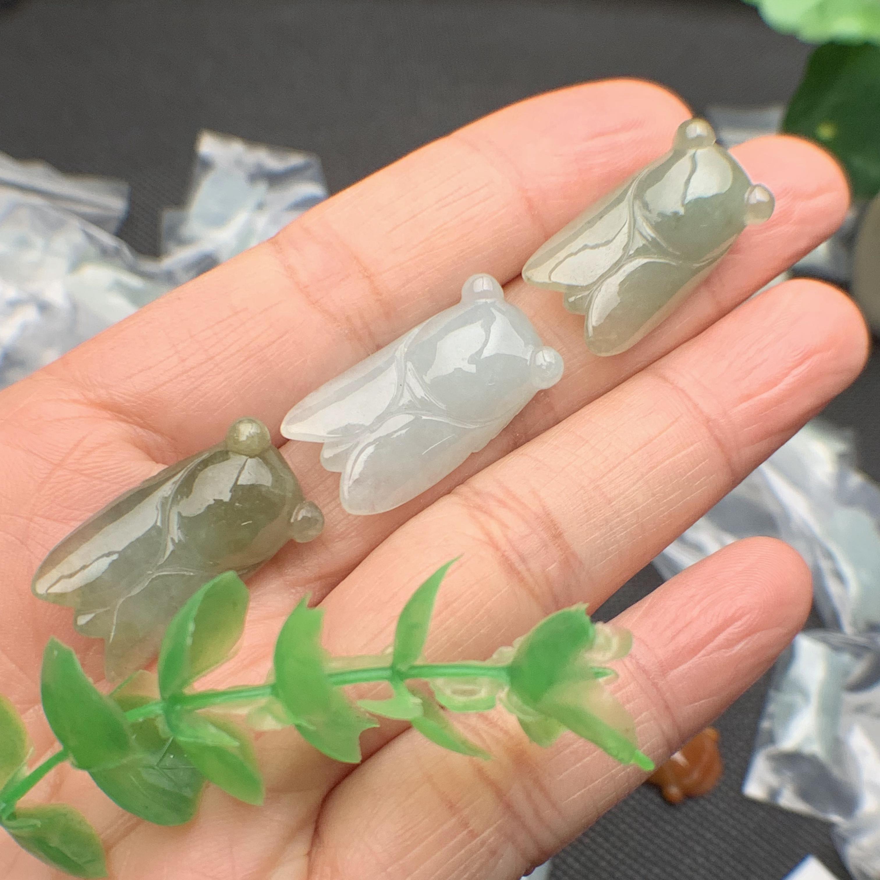 Ve sầu ngọc phỉ thúy tự nhiên Jadeite A
