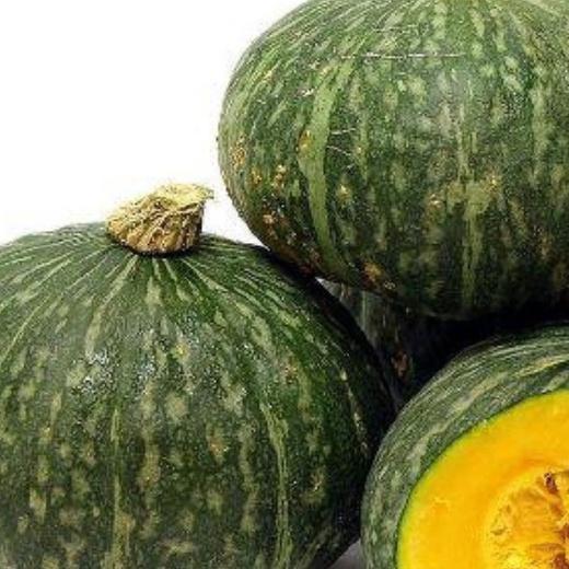Combo 5 gói hạt giống bí đỏ da xanh nhật dể trồng f1-gói 10 hạt/ tặng kèm 1 gói phân bón