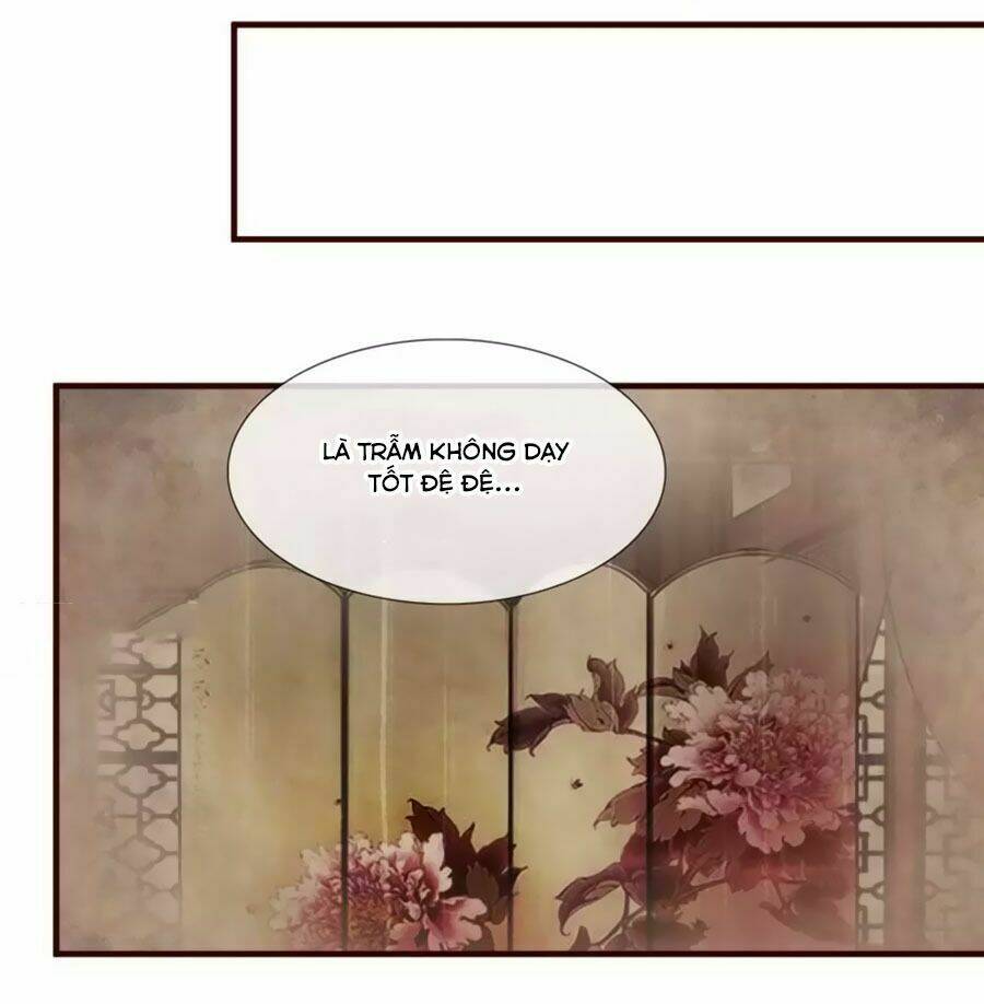 thỏ yêu tiểu vương phi chapter 2 12