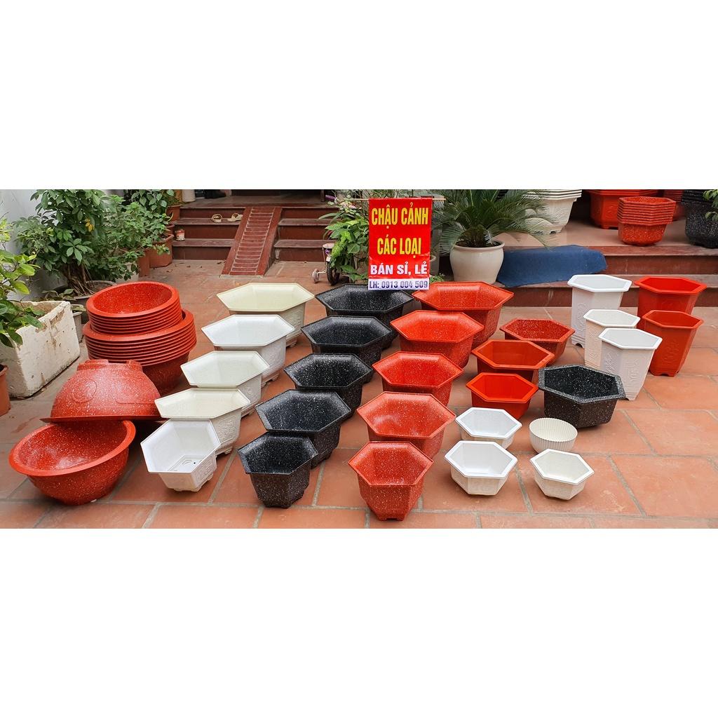 Chậu nhựa lục giác Phúc, Lộc, Thọ L23 đa sắc màu