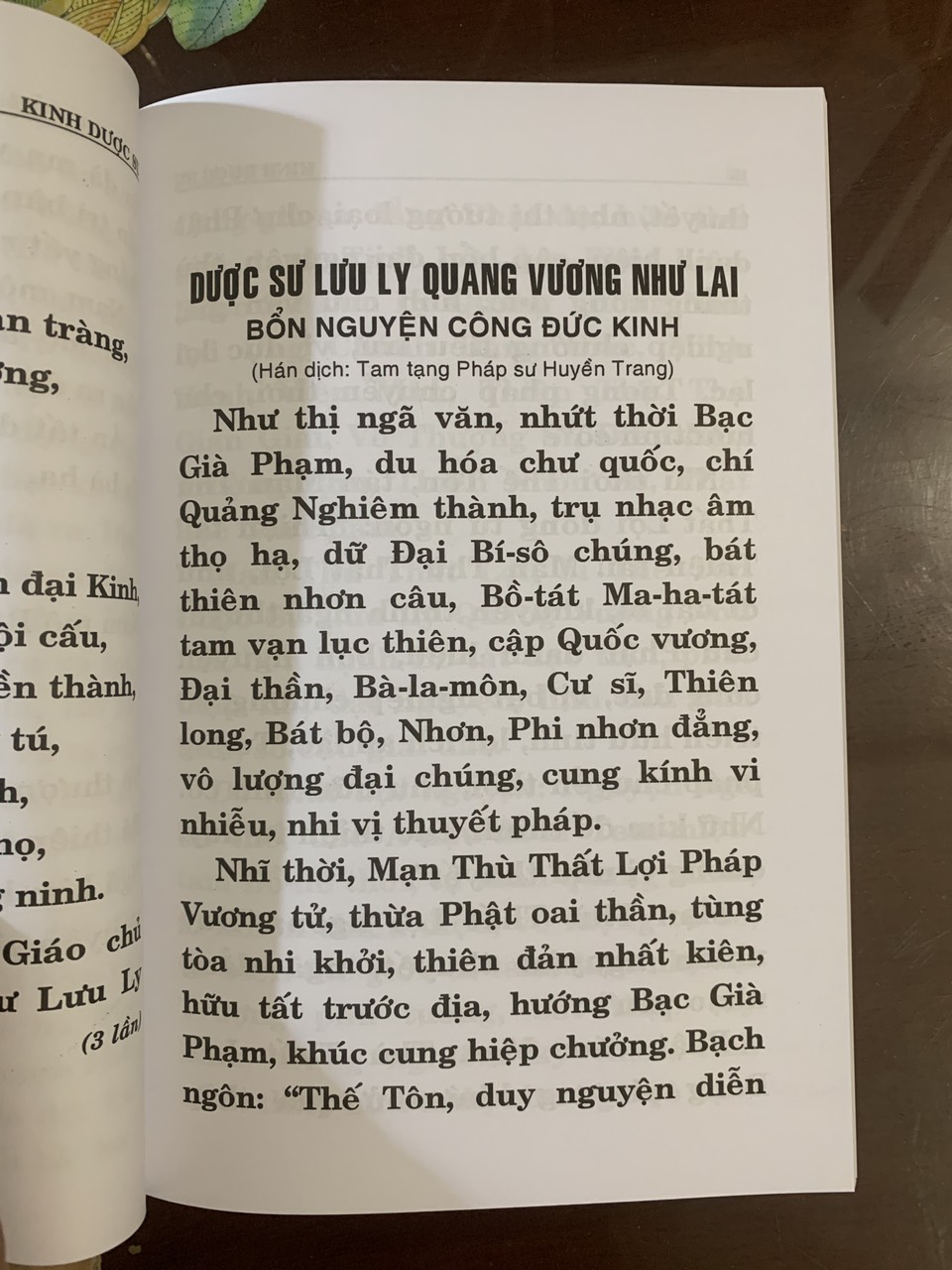 KINH DƯỢC SƯ - THÍCH HUYỀN DUNG