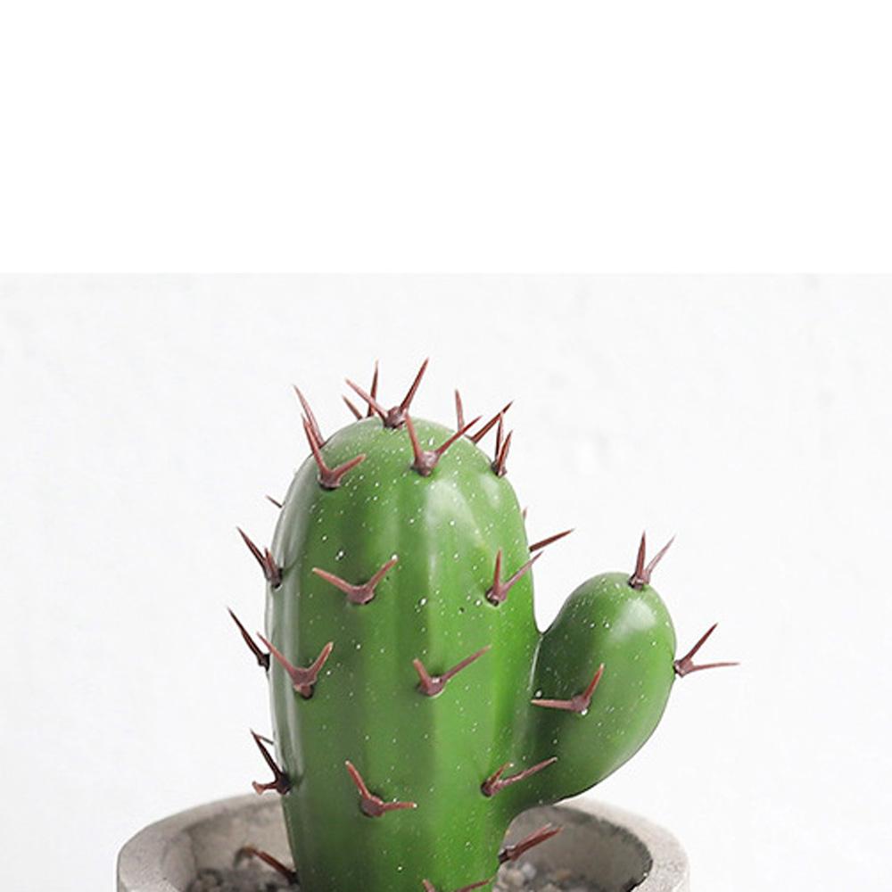 Cây Xương Rồng Giả Trang Trí Sân Vườn