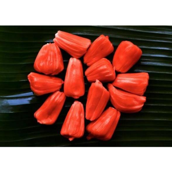Cây giống mít ruột đỏ