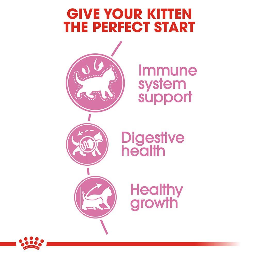 Hạt Royal Canin Kitten Cho Mèo Con