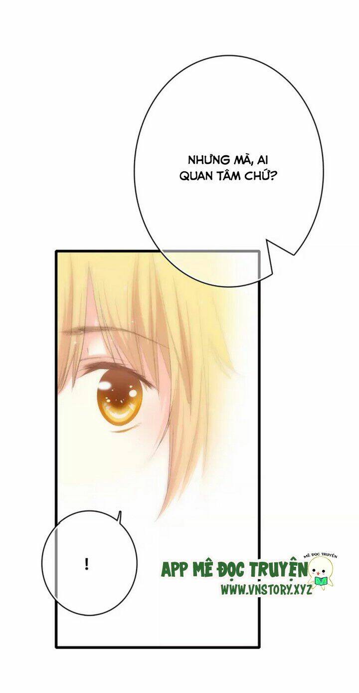 con tim rung động 3 chapter 49 25