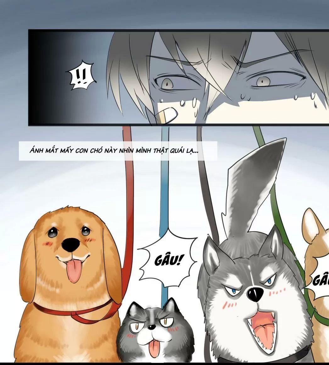 một con chó chapter 56 1
