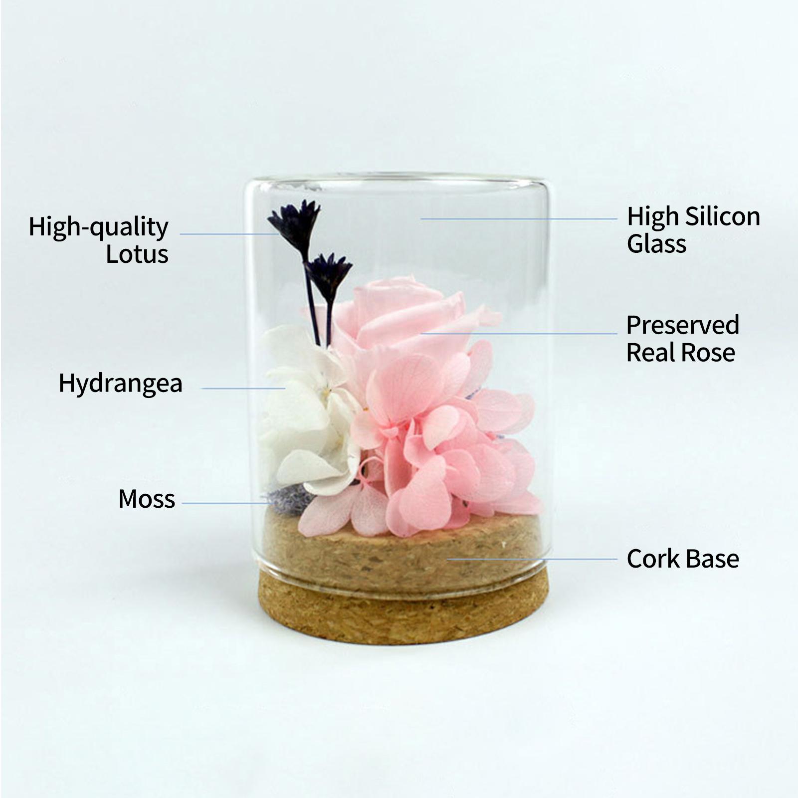Hoa hồng thật vĩnh cửu được bảo quản trong lọ thủy tinh tỏa hương có thể làm quà tặng các dịp Ngày của mẹ, Valentine