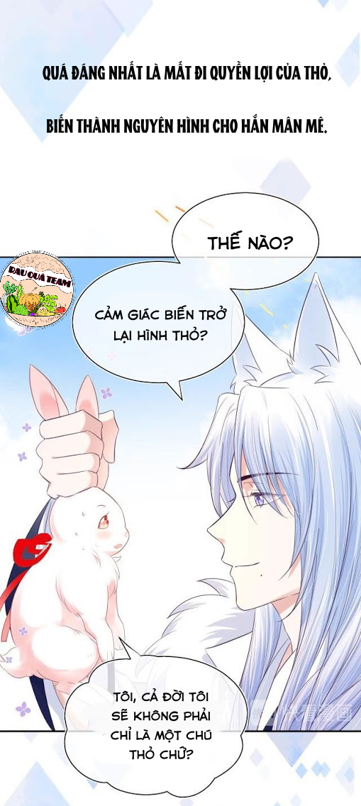 nuôi thỏ? nam chính hắc hóa rồi! chapter 1 14
