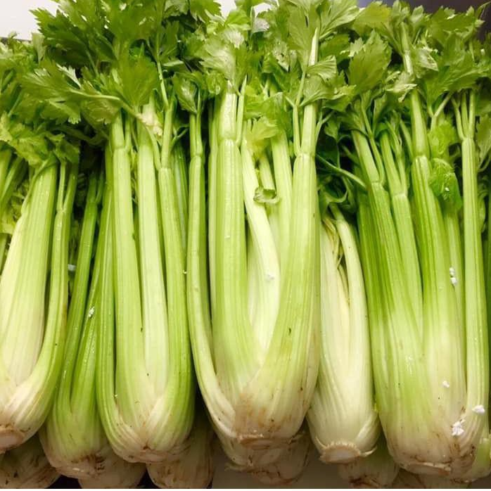 Hạt Giống Rau Cần Tây - Rau Trồng Chậu Tại Nhà