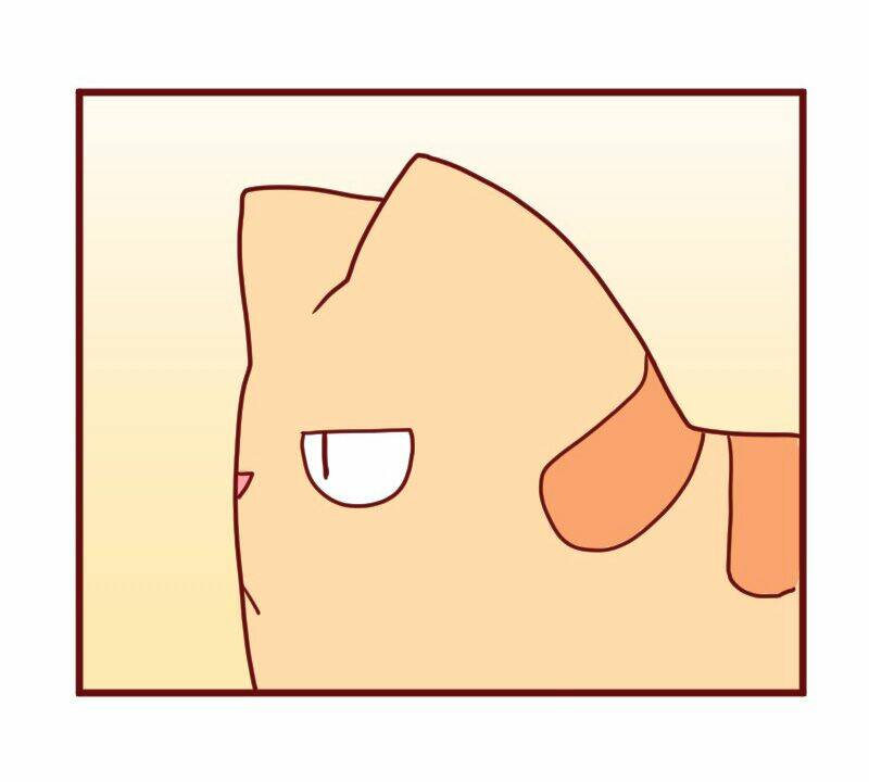 saphie: chú mèo một mắt chapter 10 6