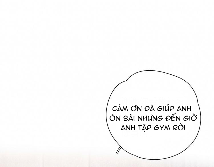 nỗi buồn của hoa cẩm tú cầu chapter 51 22