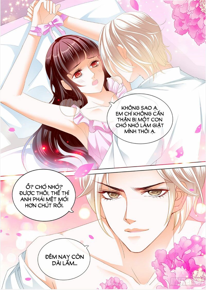 thiểm hôn kiều thê chapter 242 13