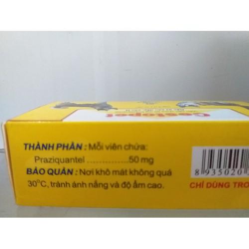 Colidox 20g úm gia cầm cho gia cầm