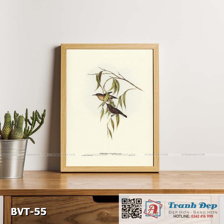 Tranh canvas vintage - Chim ăn mật (Myzomela obscura) - BVT-55