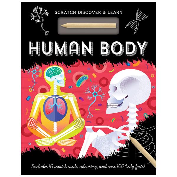 Human Body (Scratch Discover &amp; Learn)