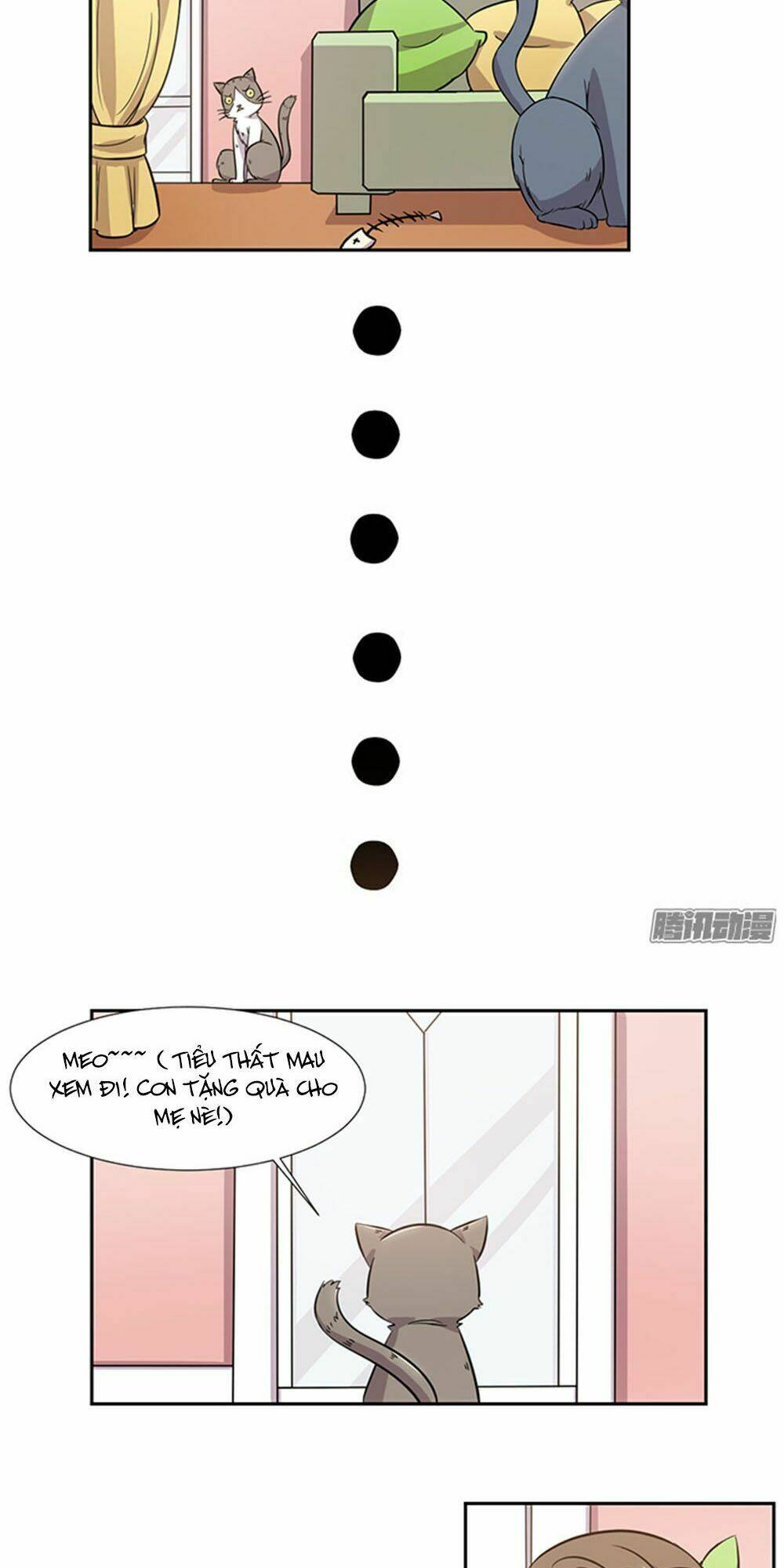 hai chú mèo totem chapter 27 11