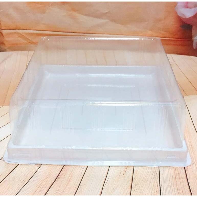 10 Hộp nhựa vuông đựng râu câu cá chép 23cm - Hộp nhựa H121 đựng rau câu 3D 23cm