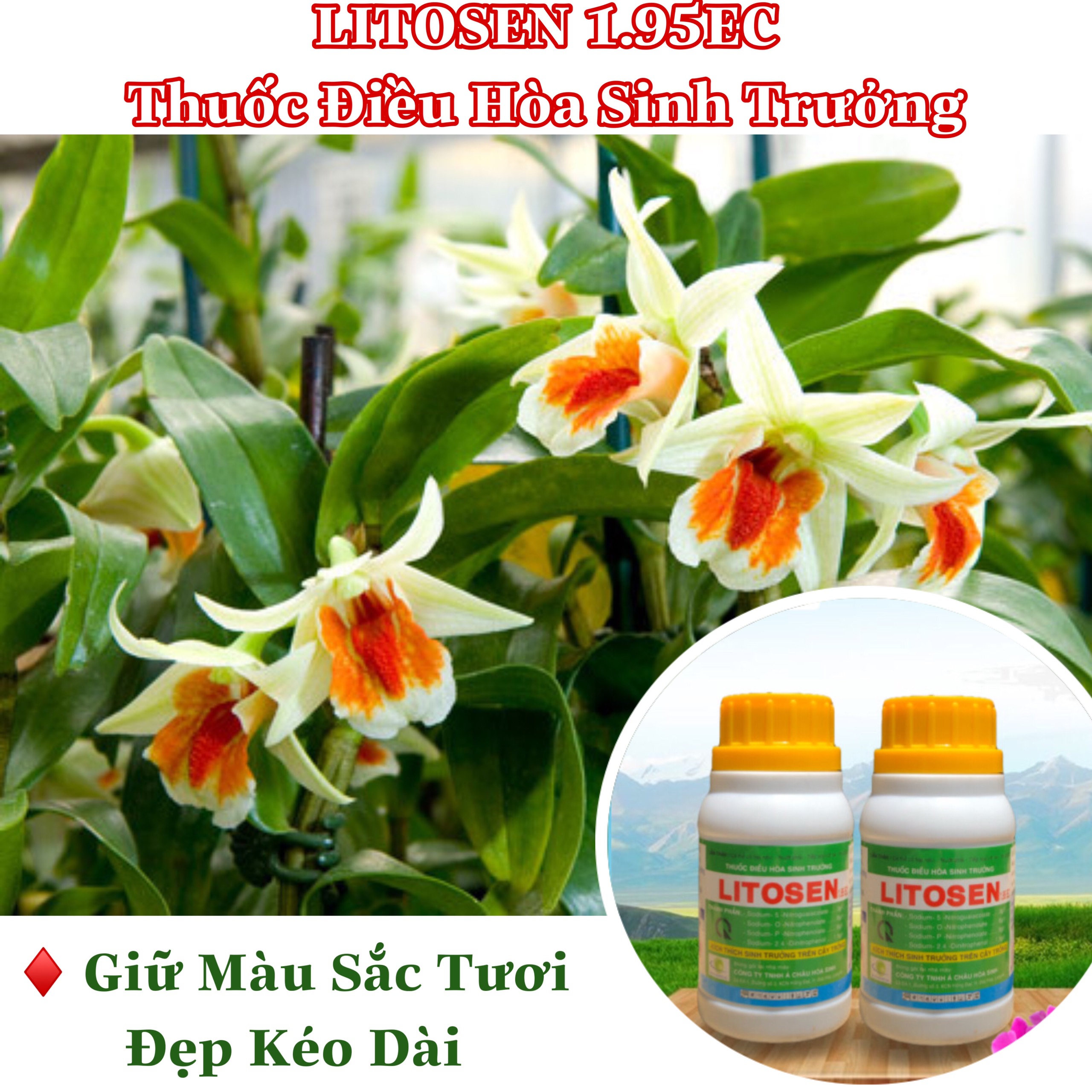 Litosen 1.95EC điều hòa sinh trưởng